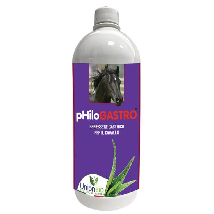 PHILOGASTRO 1L