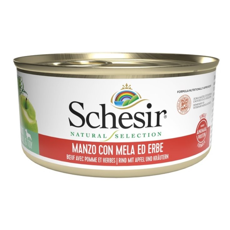 SCHESIR CHIEN NS BOEUF 95G