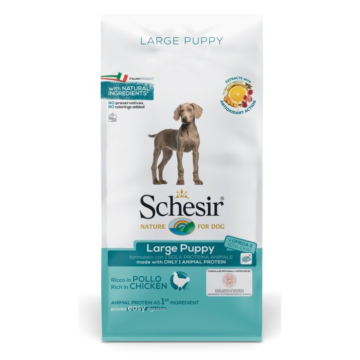 SCHESIR GRAND CHIOT 12KG