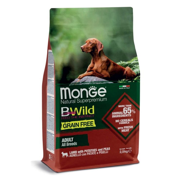 MONGE SANS GRAINS AB AD A/P12KG