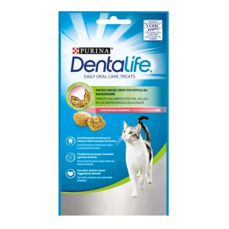 DENTALIFE CHAT SAUMON 40G