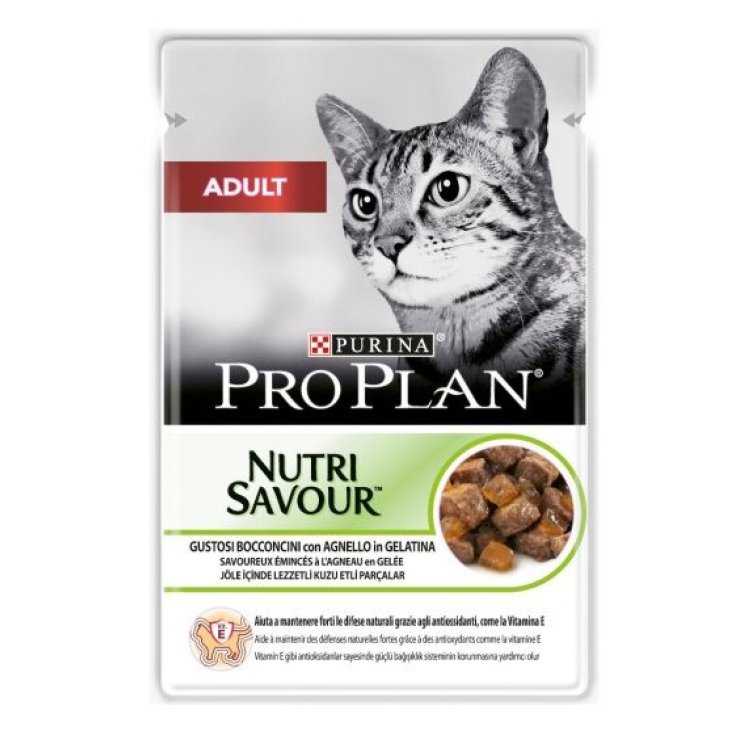 PROPLAN NUTRISAV CHATS CHEZ AGN