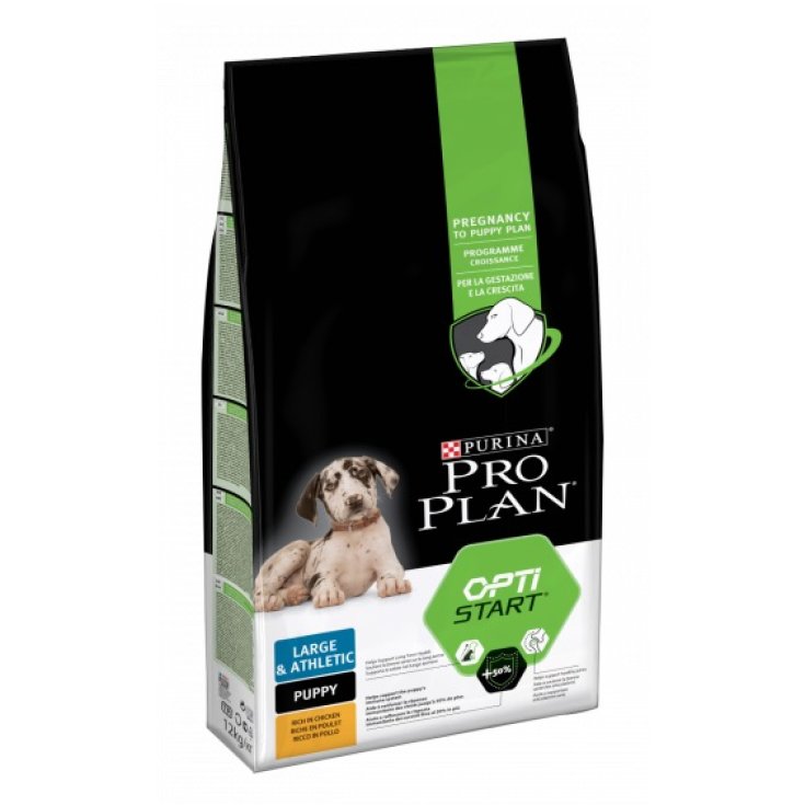 PP DD L PUP ATHL SANTÉ 12KG