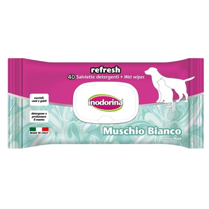 LINGETTES MOUSSE INODORINA40P