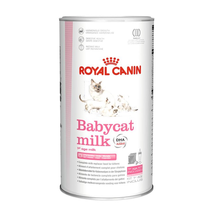 LAIT FHN PRO BÉBÉ CHAT 300G