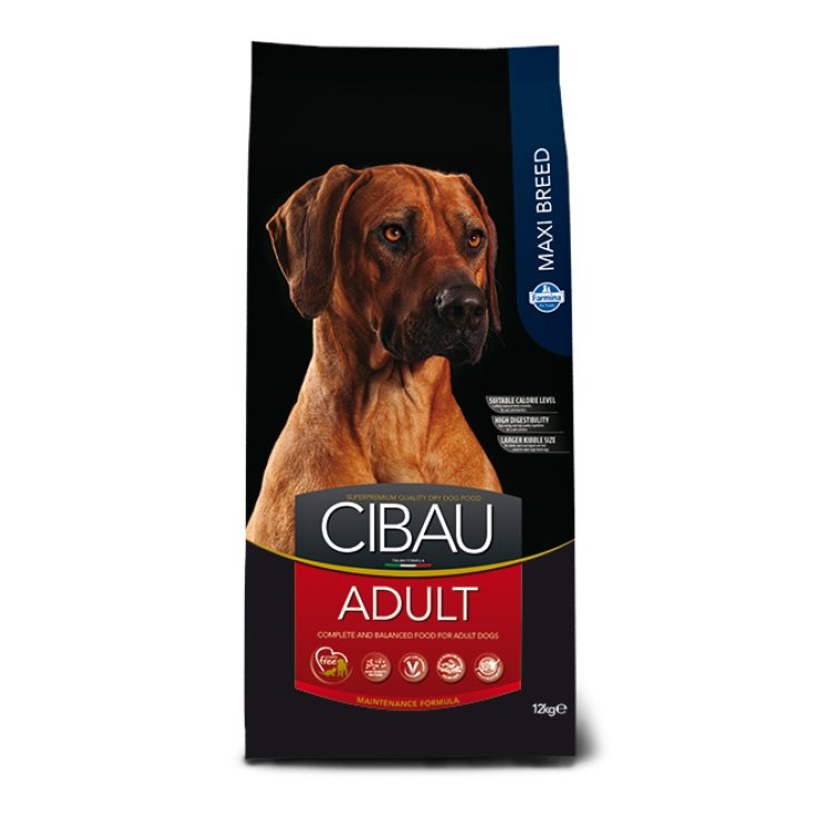 CIBAU ADULTE MAXI RACE 12KG