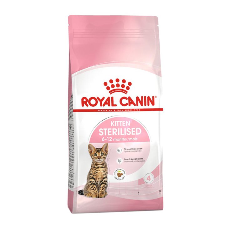 FHN CHATON DEUXIÈME ÂGE STER2KG