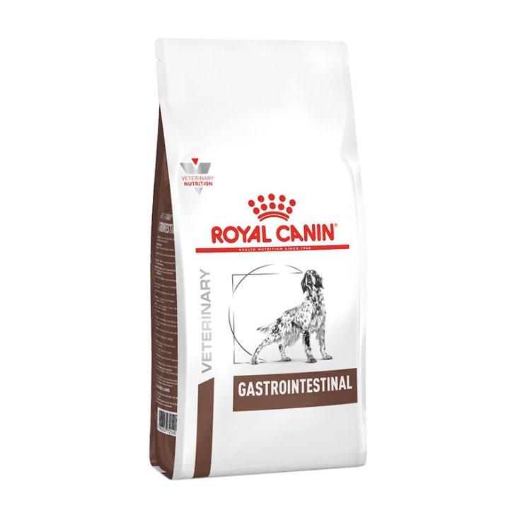 VHN CHIEN GASTRO-INTESTINAL 15KG