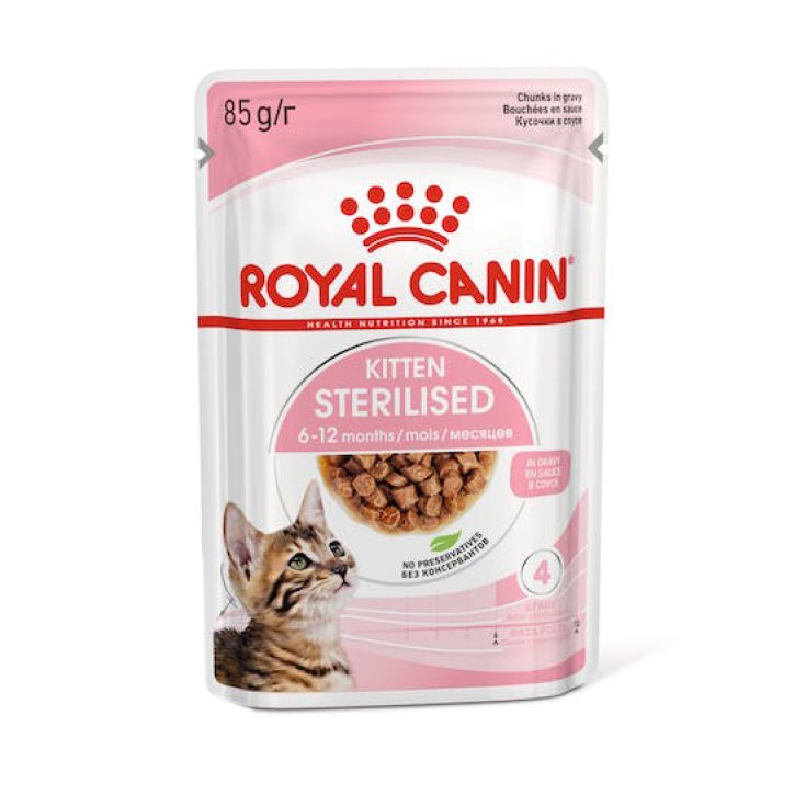 FHN CHATON HUMIDE STÉRILISÉ 85G