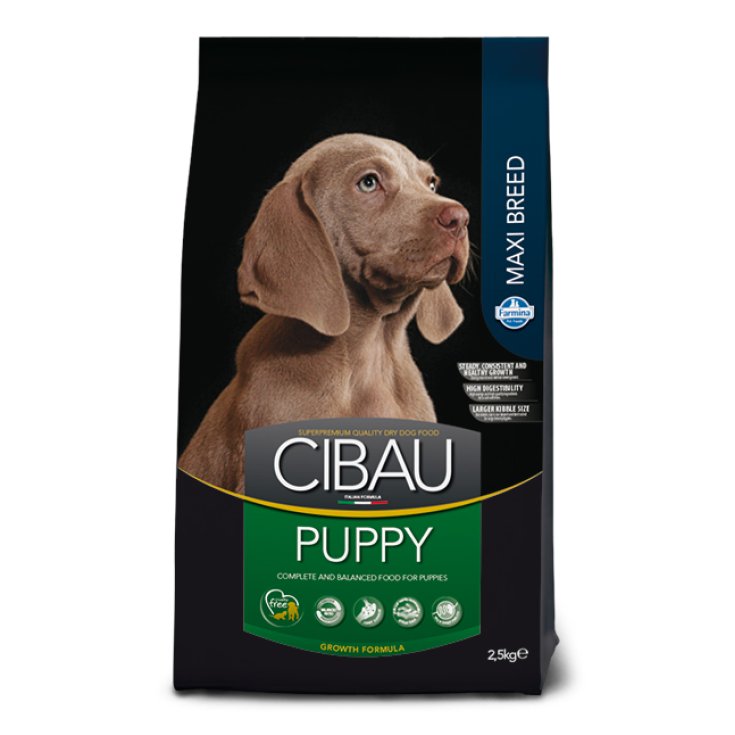 CIBAU CHIOT MAXI RACE 12KG