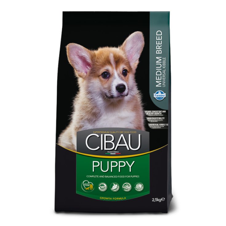 CIBAU CHIOT RACE MOYENNE 12KG