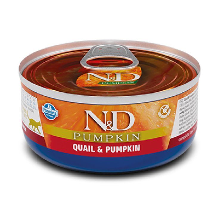 N&D CAT CAILLES ET CITROUILLES 80G