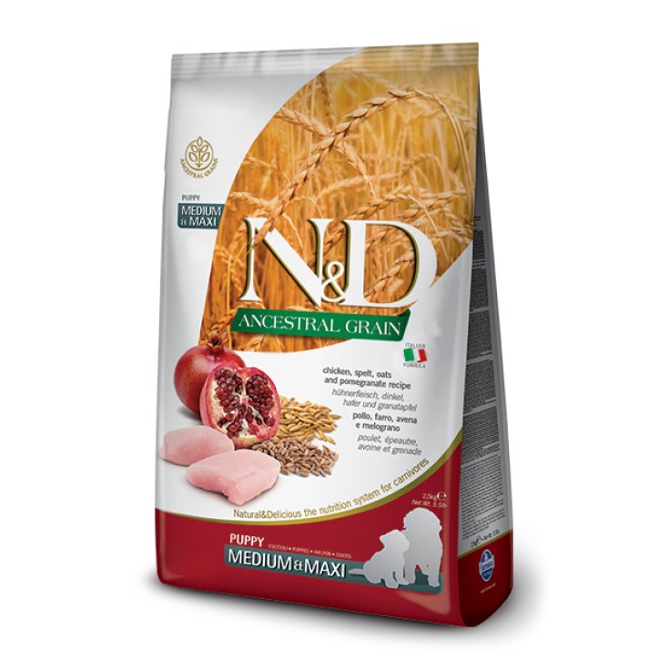 N&D CHIEN ANCEST CH&PO P MM 12KG