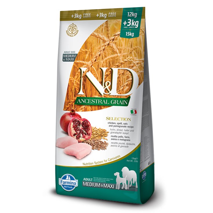 N&D CHIEN ANCEST SEL CH POM15KG