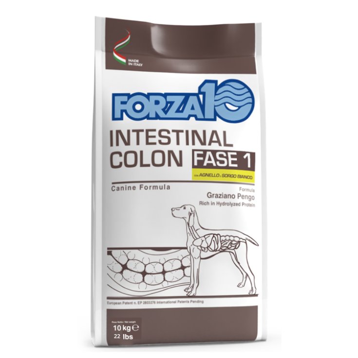 FORZA10 AGN/S DU CÔLON INTESTINAL