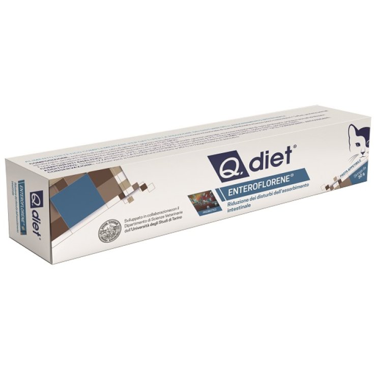 Q DIET PÂTES ENTÉROFLORÈNE 30G