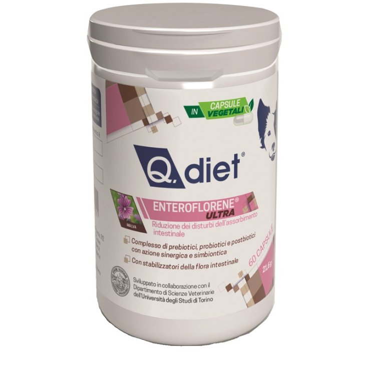 Q DIET ENTÉROFLORÈNE ULTR60CPS