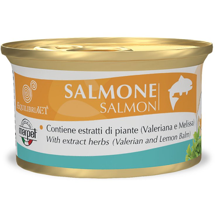 AEQUILIBRIAVET CHAT SAUMON 85G