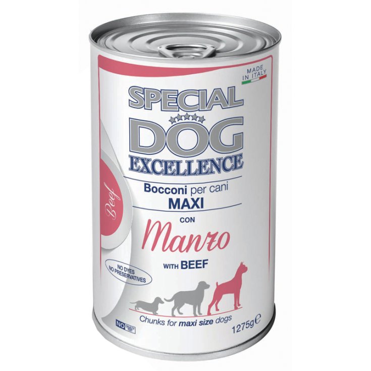 SPECIAL CHIEN EXC MX AD BOCC MA