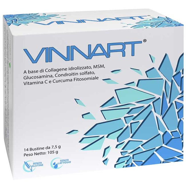 VINNART 14BUSTE
