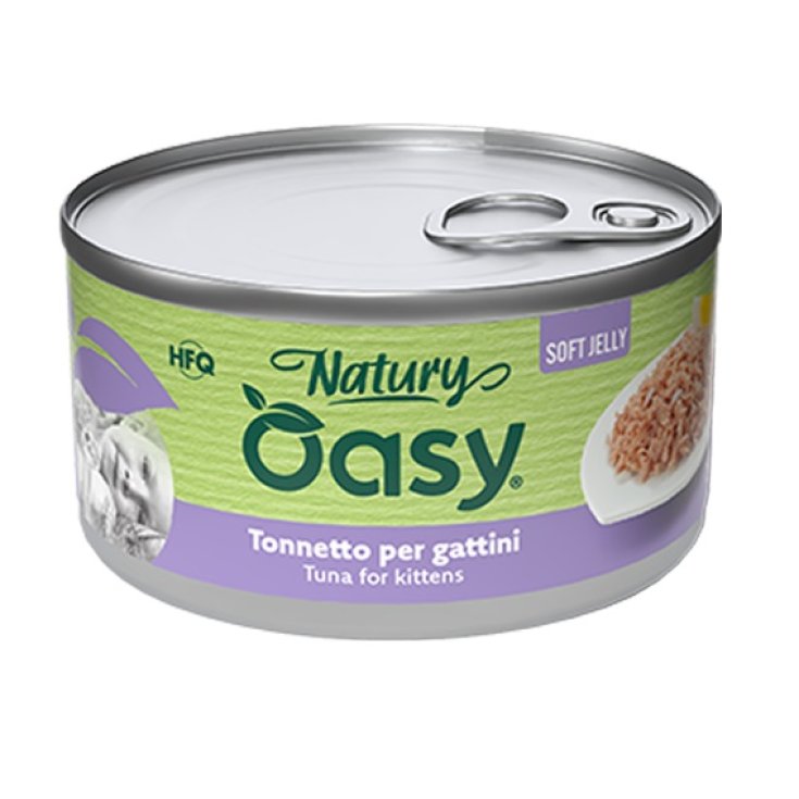 OY CAT WET NSJ TON GATTINI150G