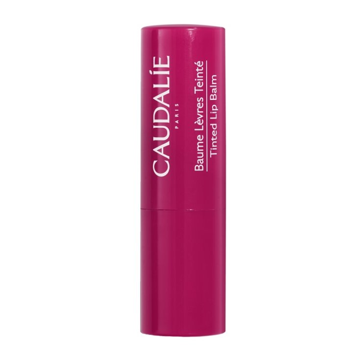 CAUDALIE BALSAMO LAB COL 4,5G