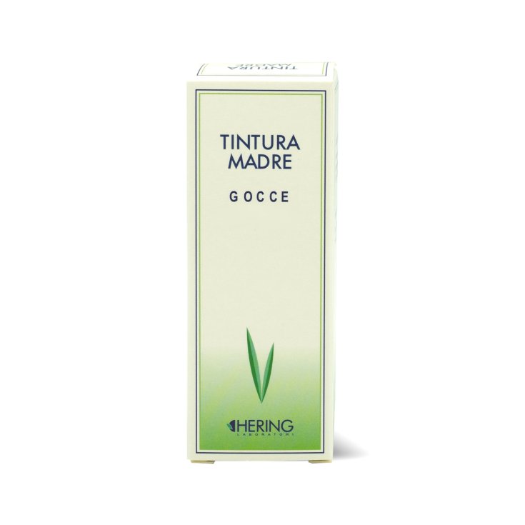 Ficus Carica Teinture Mère Gouttes HERING 125 ml