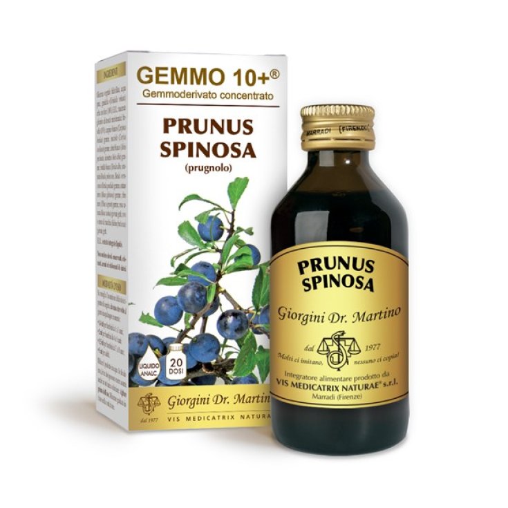 G10 + Prunus Spinosa Dr Giorgini 100ml