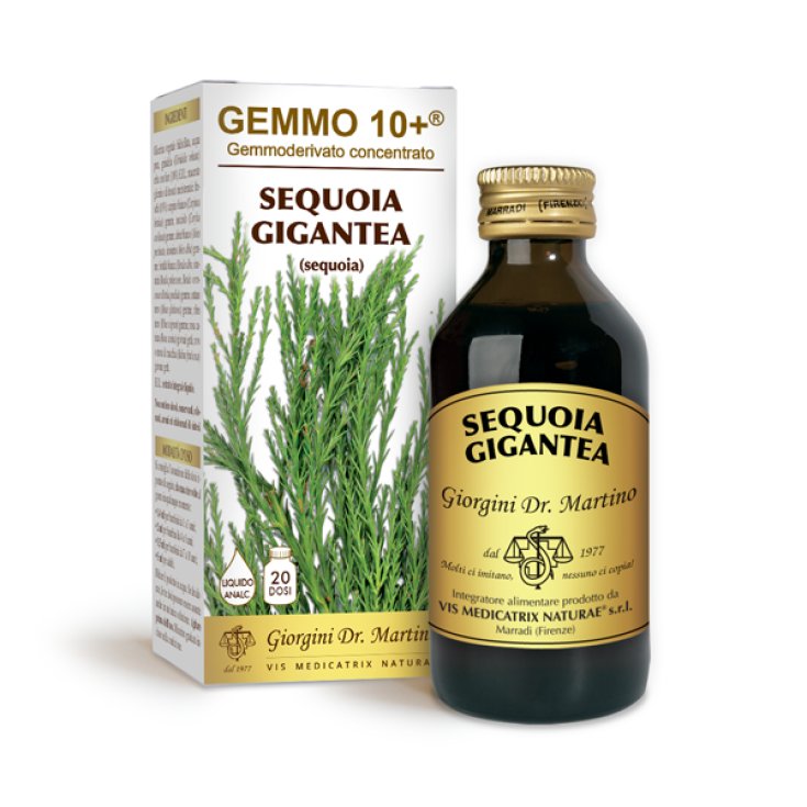 G10 + Sequoia Gigantea Dr. Giorgini 100ml