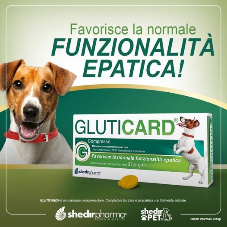 Gluticard® ShedirPharma® 30 Comprimés