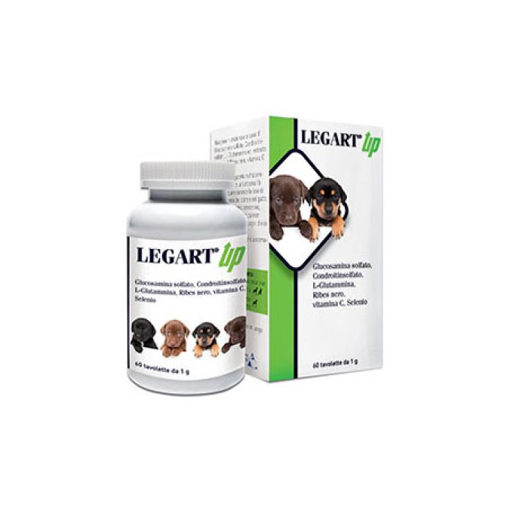 LEGART® Up DDFarma 60 Comprimés