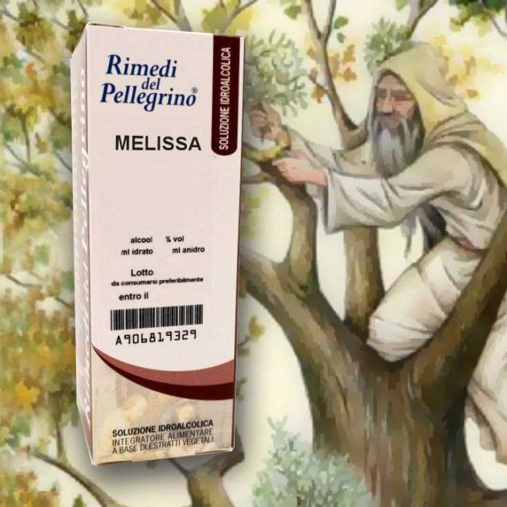 Melissa Remèdes Du Pèlerin 50ml