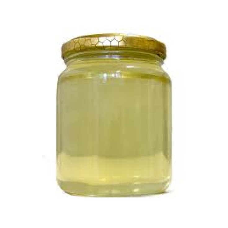 Farmagourmet Miel d'Acacia 250g