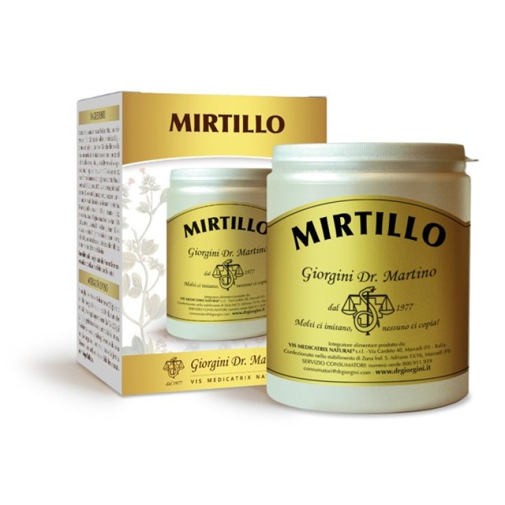 Poudre de Myrtille Dr. Giorgini 360g