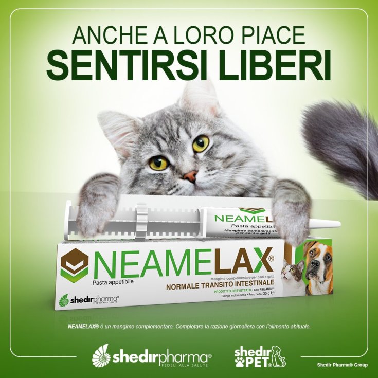 NeameLax® Pâtes ShedirPharma® 30g