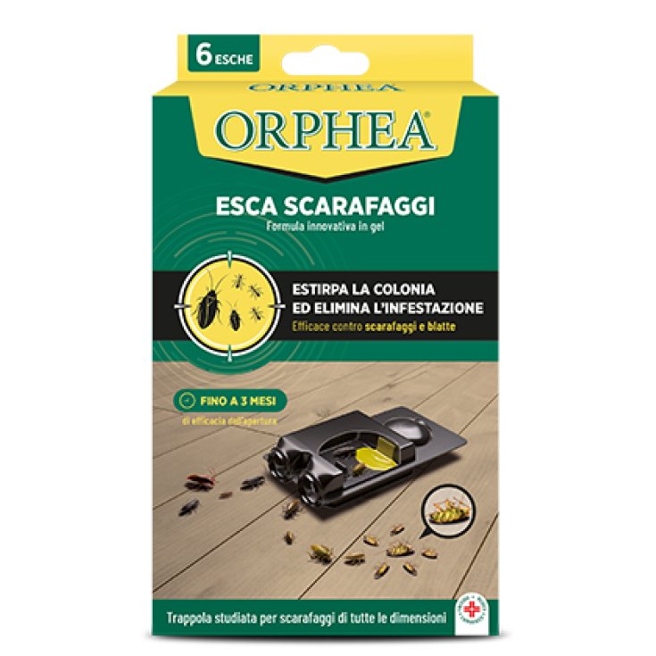 Leurre Cafards ORPHEA 6 Pièces