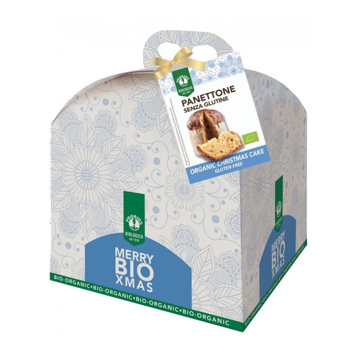 Panettone ProBios 500g