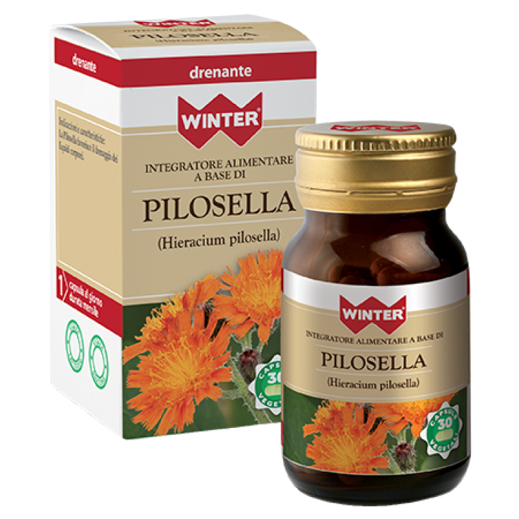 Pilosella Winter® 30 Capsules Végétariennes