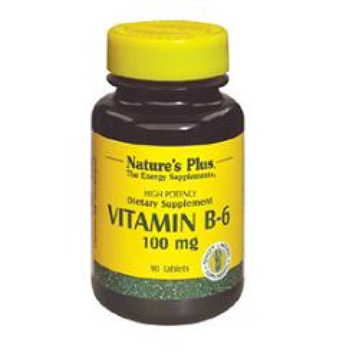 Vitamine B6 Piridox 100