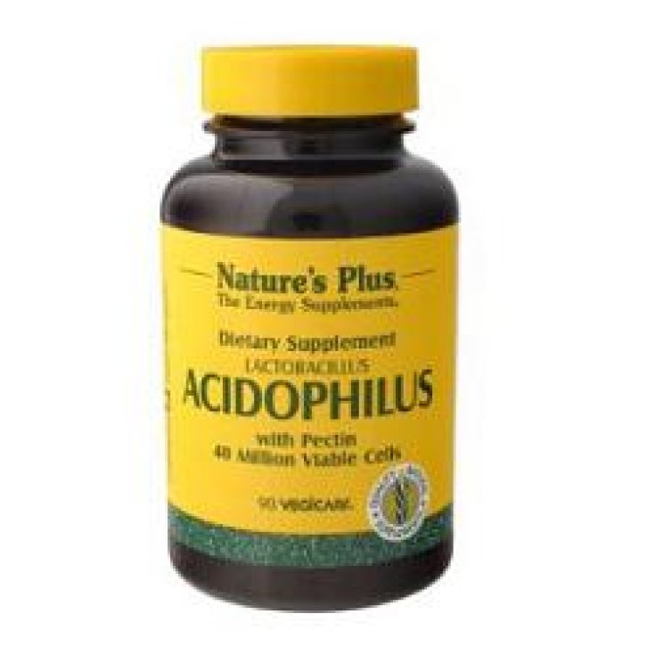 Acidophilus 90 Gélules