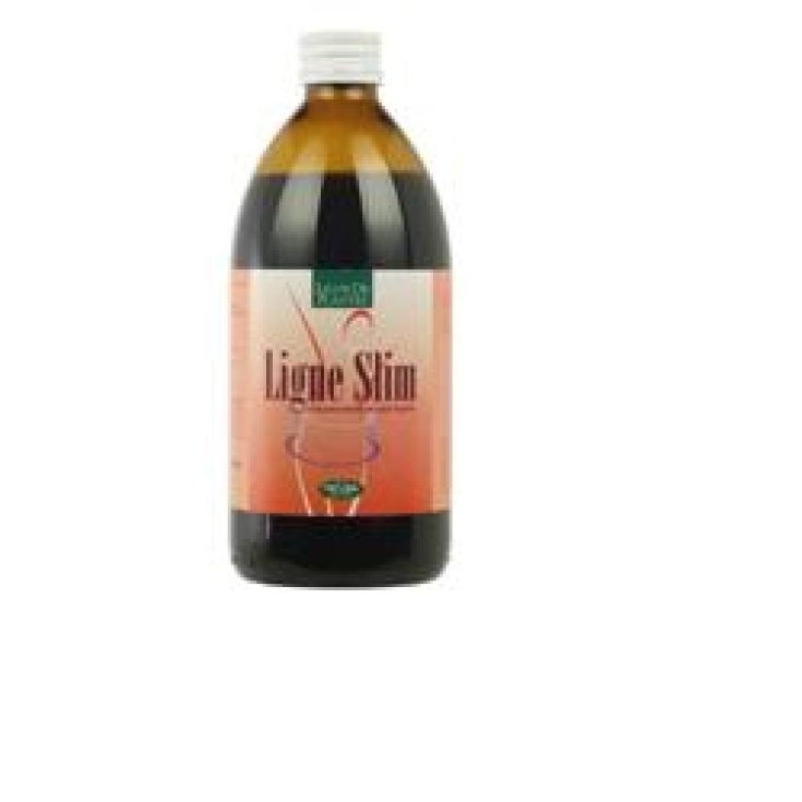 Natura Service Ligne Slim Complément Alimentaire 500 ml