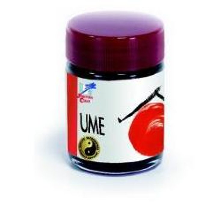 Concentré Ume 40g