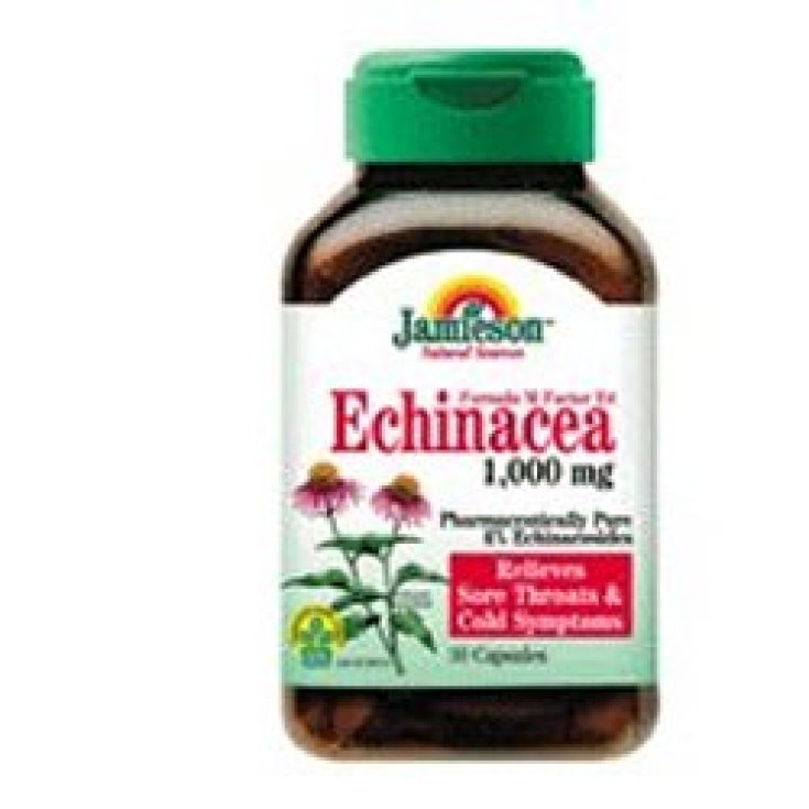 Jamieson Echinacea 1000mg Complément Alimentaire 30 Gélules