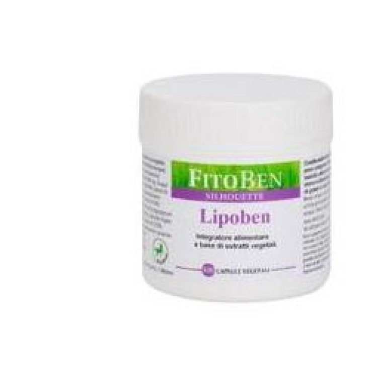 Lipobène 100 Gélules 82g