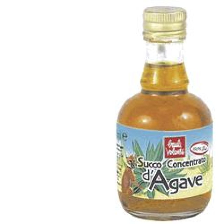 CONC JUS D'AGAVE 250ML