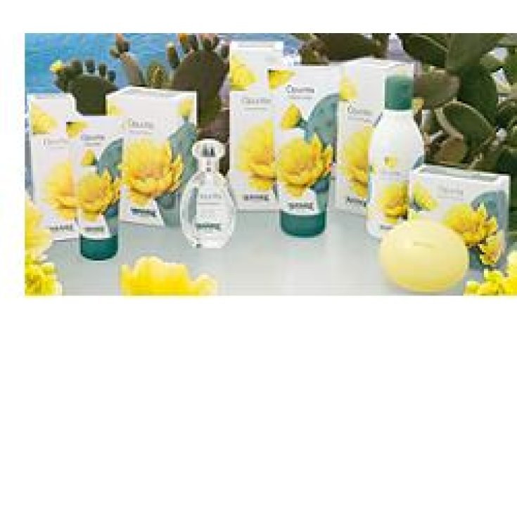 L'Amande Opuntia Crème Corps 200 ml