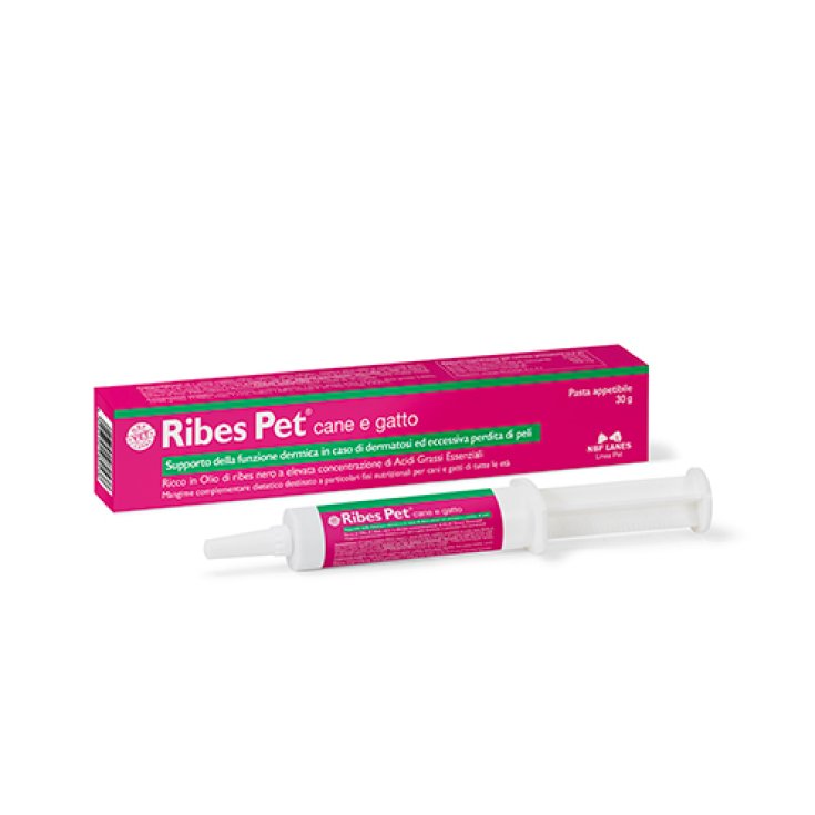 Ribes Pet Chien Et Chat NBF Lanes Pâtes Savoureuses 30g