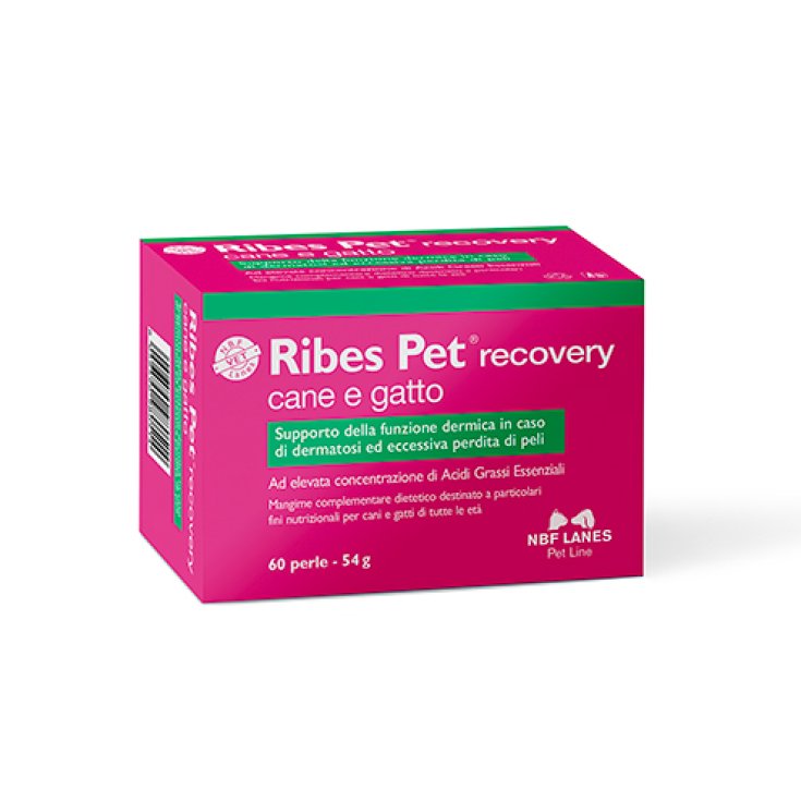 Ribes Pet Recovery Chien et Chat NBF Lanes 60 Perles