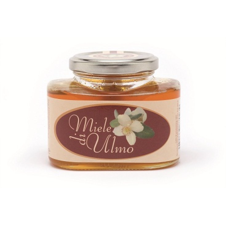 Miel d'Ulmo 40g