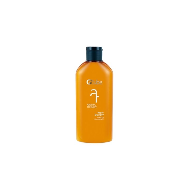 Shampoing Restructurant Arôme Teraphy Gcube® 200ml